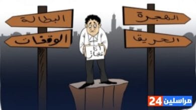 شباب الأحلام والتحديات... بين الكفاءة والبطالة